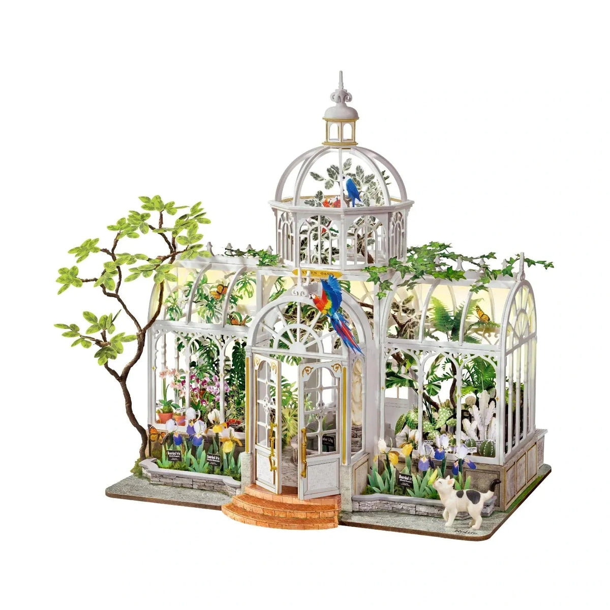 Rolife Oxygen Oasis DH102 – DIY Miniatur-Gewächshaus